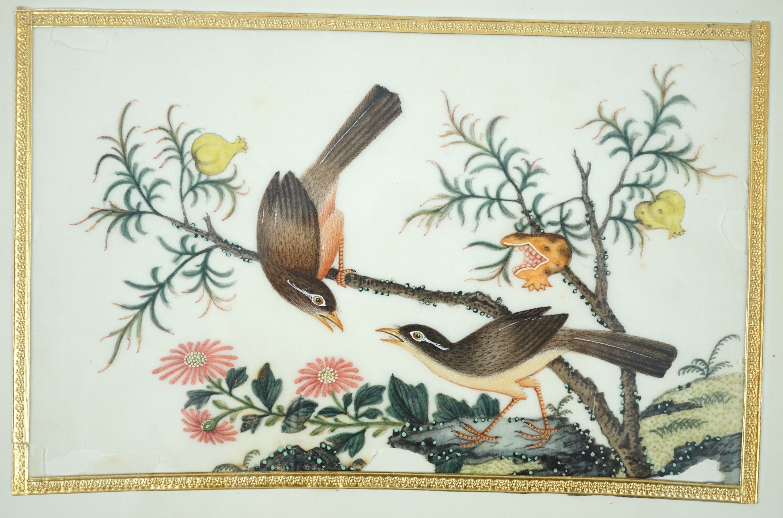 A set of 16 Chinese pith paintings of birds and flowers, mid 19th century, Largest Image 12cm x 18cm